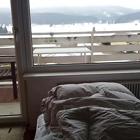 Happy Stay Apartment Bad Mitterndorf Exterior photo